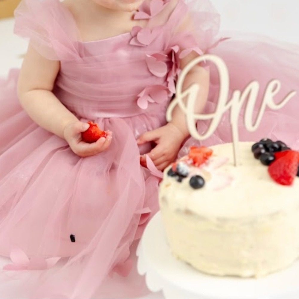 Pink Tulle Baby Dress with Butterfly Details